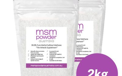 2kg MSM Powder