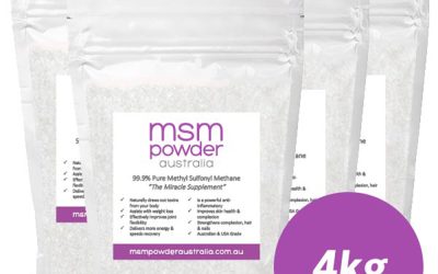 4kg MSM Powder