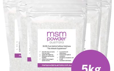5kg MSM Powder