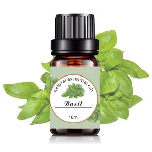 Basil Pure Essential Oil 10ml