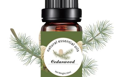 Cedarwood Pure Essential Oil 10ml