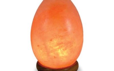 Himalayan Salt Lamp Egg