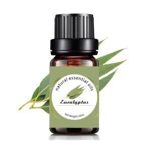 Eucalyptus Pure Essential Oil 10ml