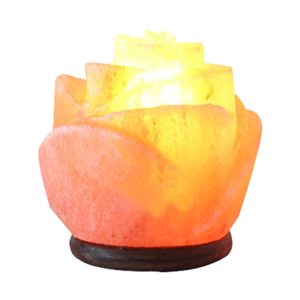 Himalayan Salt Lamp Rose