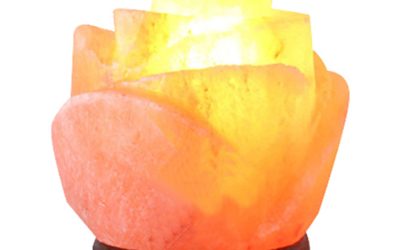 Himalayan Salt Lamp Rose
