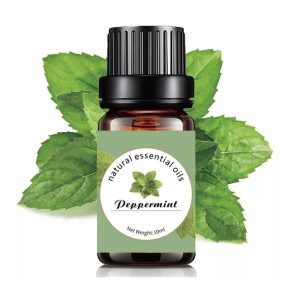 Peppermint Pure Essential Oil 10ml